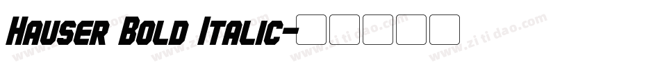 Hauser Bold Italic字体转换